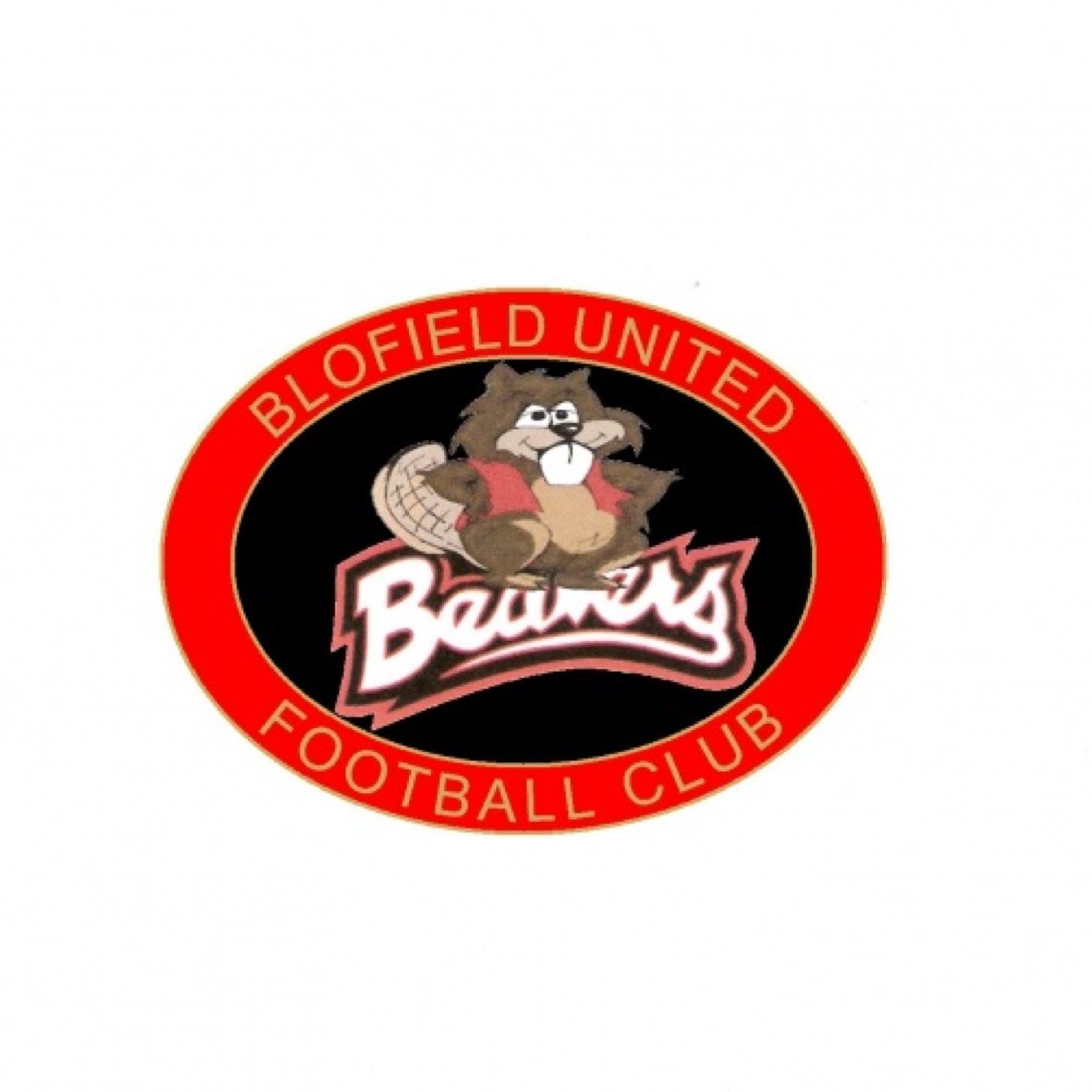 Welcome to the Home of the 19's Beavers. Champions of Christian League Mens 2 Division 2013/2014 & U19's Division A Champions 2014/2015