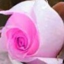 Amal.A (@1970_aml) Twitter