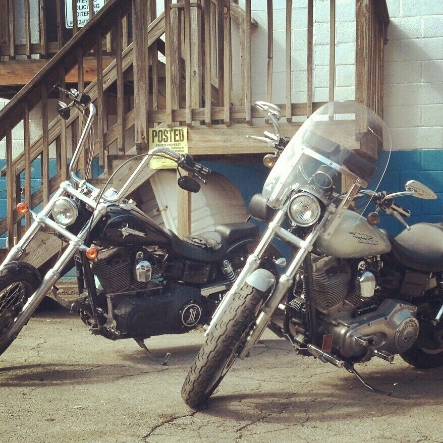 25 ish Tattoo'd biker trash.  I'm not a photographer but I'd love to shoot u.