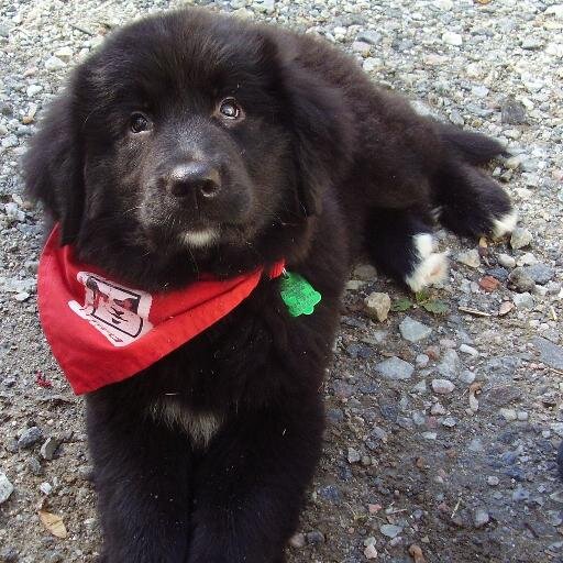 AlexPeeler1's profile picture. Experienced filmmaker and marketer; advocate for the disabled.