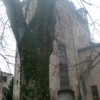 denet (@denet) 's Twitter Profile