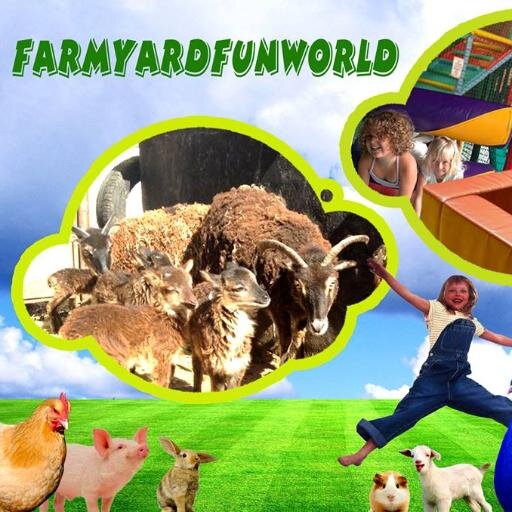 farmandfunworld's profile picture. We aim to provide an inexpensive, interesting and fun day out for families with a choice of activities whatever the weather!
