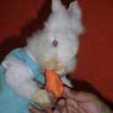 janet vasquez - @JanetSebitas - Twitter