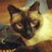 Javier_BKK's profile image