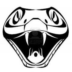 Music Promotions, music bookings, band management
