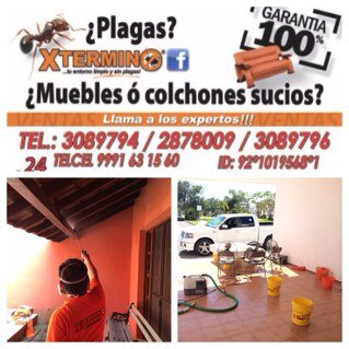 Xtermino de hormigas,mosc@s,termitas,cucarachas, y mas.
Lavado,desinfectado y eliminacion de olores en salas,colchones,alfombras,vestiduras de autos,etc