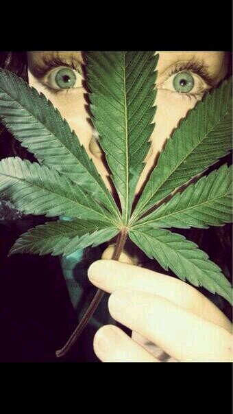 XVIII · Nací con un porro entre la manos, Y con un Clipper entre la otra.   Deja de chuparla no se te entiende ni una mierda.