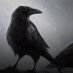 Pajaro de Fuego (@pajarodefuego19) Twitter profile photo Pajaro de Fuego (@pajarodefuego19) Twitter profile photo