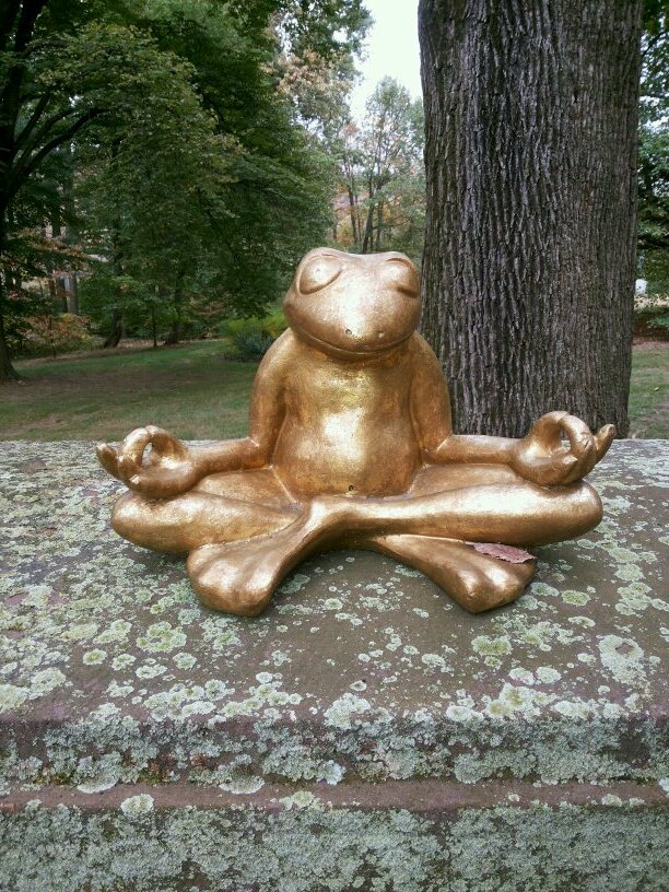 miguelito1987's profile picture. 