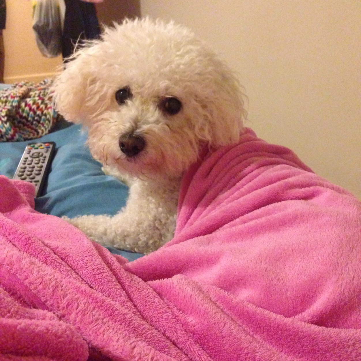 Samanth41054914's profile picture. 