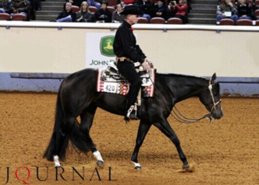 Never be afraid to dream big. Showing 4-H and Open. Baby anon.