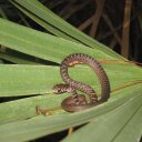 tim marshall - @tm11999 - Twitter