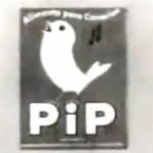 Pajarito atento a su entorno.