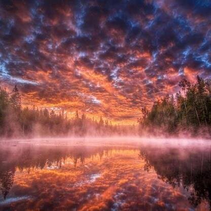 KillerDrunk's profile picture. Just a guy who loves to cook.