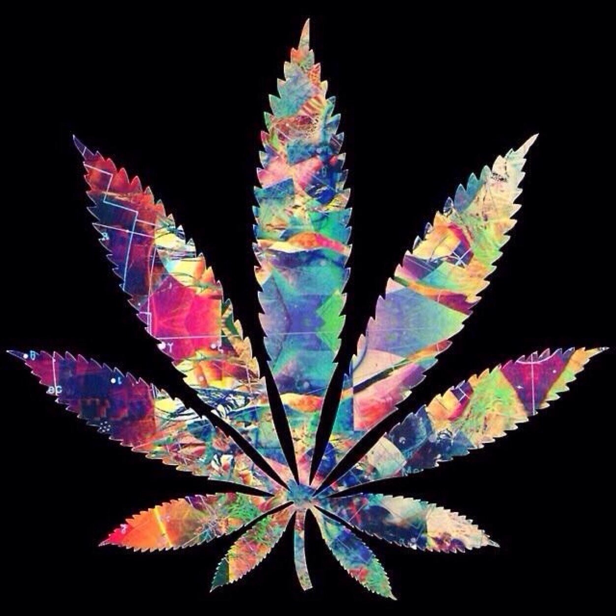 Marijuana should be legalized, help me spread that message one tweet at a time. Keep blazing and stay amazing .