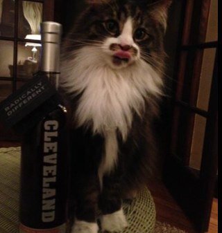Cleveland lover. Craft beer drinker. Editor by day. Runner. Toddler boy, cat & dog mom. @leesilvis wife. Go Tribe!