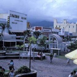 Cairnsinthen80s's profile picture. Very interested in stories and images of Cairns in the 80's