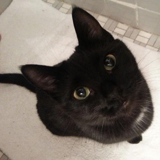 digreig's profile picture. Science nerd.  Politics junkie.  InfoSec weasel.
I know a lot of musicians.  Ex-pat Canuck in DK.