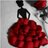 bander1221's profile image