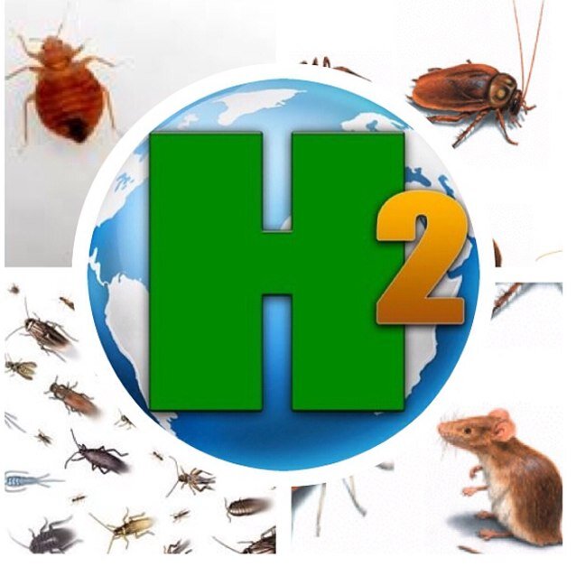 H2PEST's profile picture. 