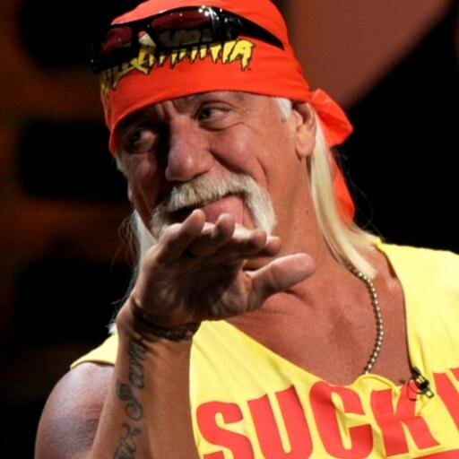 HHGrammarManiac's profile picture. What's up, GrammarManiacs? I am Hulk Hogan. If you use terrrible grammar, then I'll leg drop you all, brother! Formerly corrected TNA's grammar.