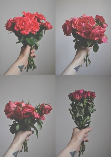 Just a teenage girl who's a complete hopeless romantic.