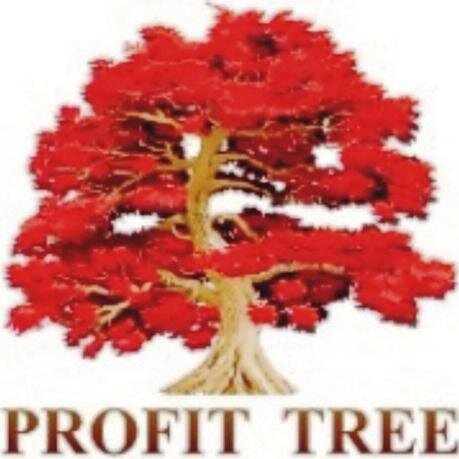 MarekProfittree's profile picture. 