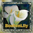 Lily Thompson - @LilyThompson18 - Twitter