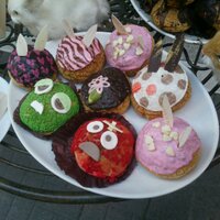 DDTKS (@ddkddi) 's Twitter Profile