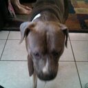 Chuck Simpson - @chuckthepit - Twitter