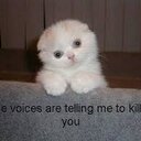 samantha chaplin - @samanthachpli1 - Twitter