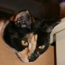 Leah Rix - @Mumaleah - Twitter