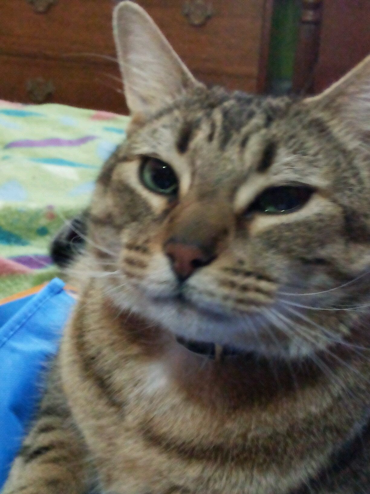 cortizwalde's profile picture. 