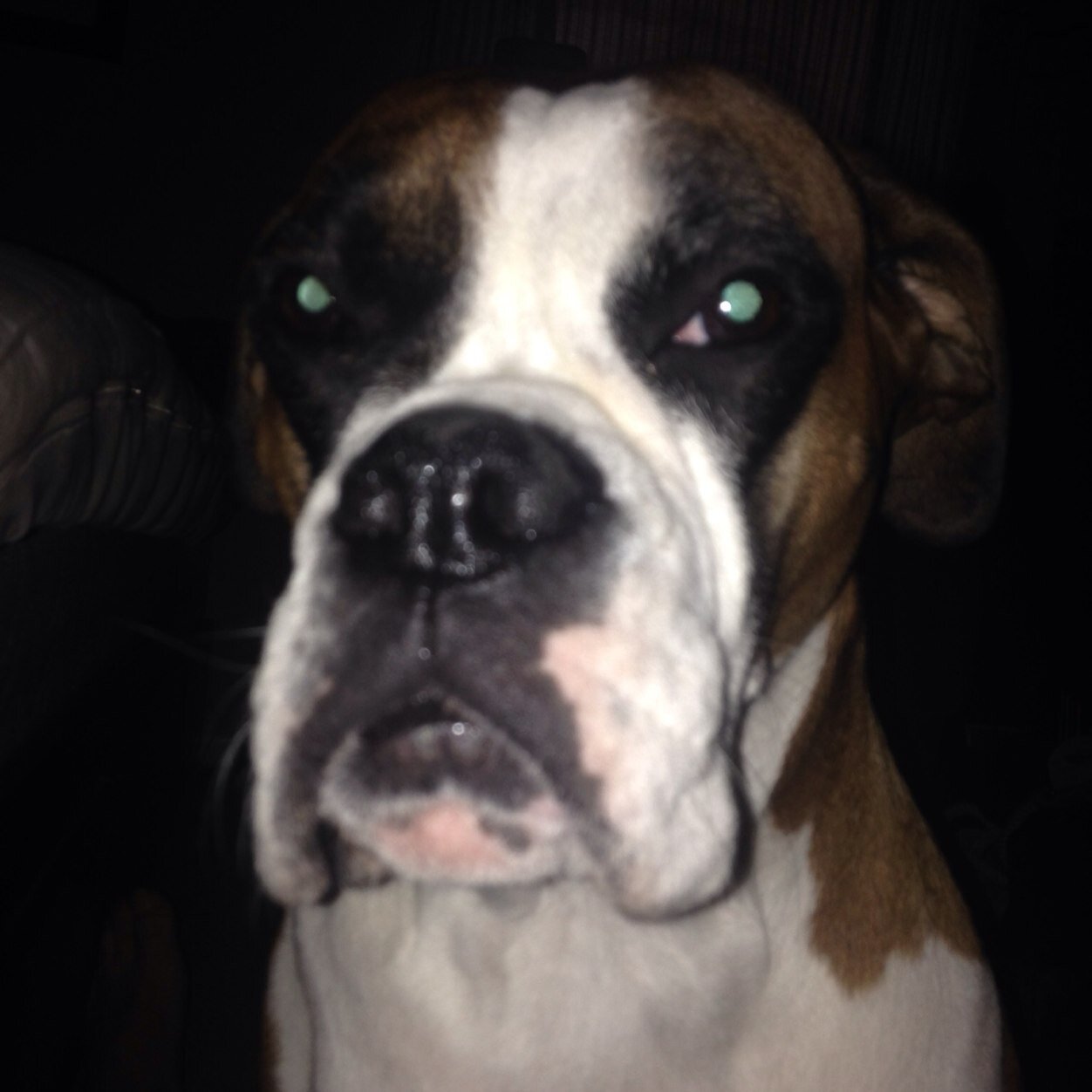 Suggie_V's profile picture. 