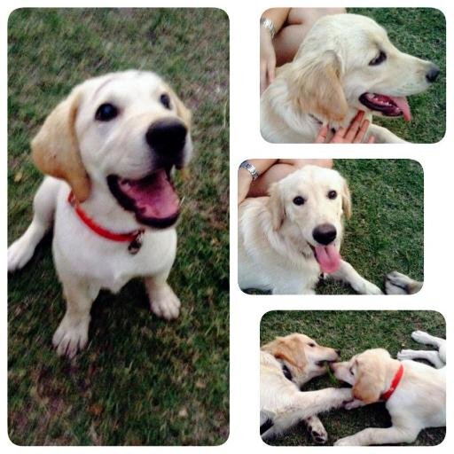 DianaChay's profile picture. 