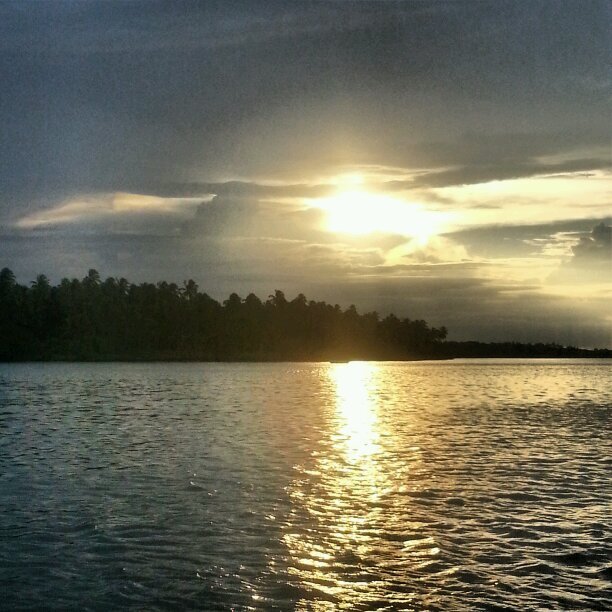 alfredojblanco's profile picture. 