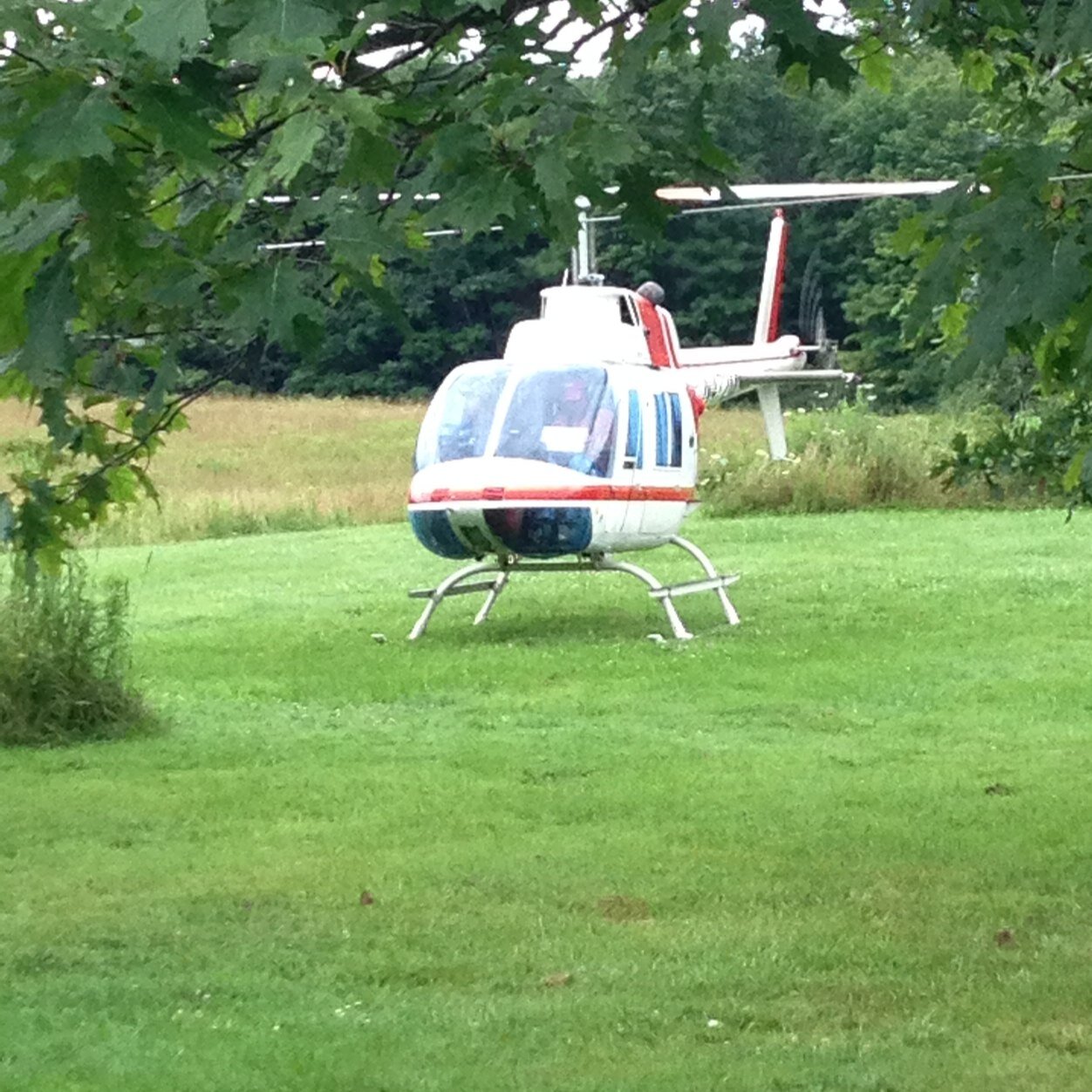 floormanchu's profile picture. I love Maple https://t.co/kn1LRl4RjH political views it was both conservatives and liberals that curicified Jesus!How is your walk with the Lord?