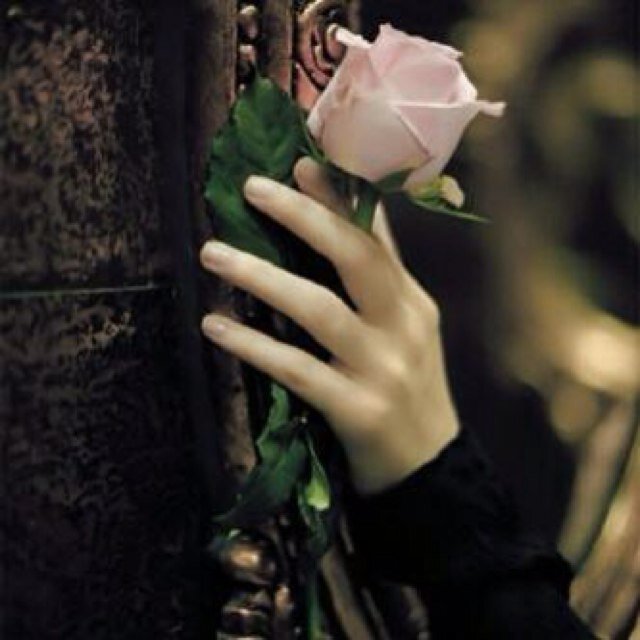 nooly90's profile picture. استغفرالله العظيم وأتوب إليه