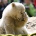 Bear With Me Comedy Open Mic (@bearwithmemic) Twitter profile photo