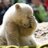 bearwithmemic's profile image