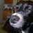 bob_is_baked's profile image