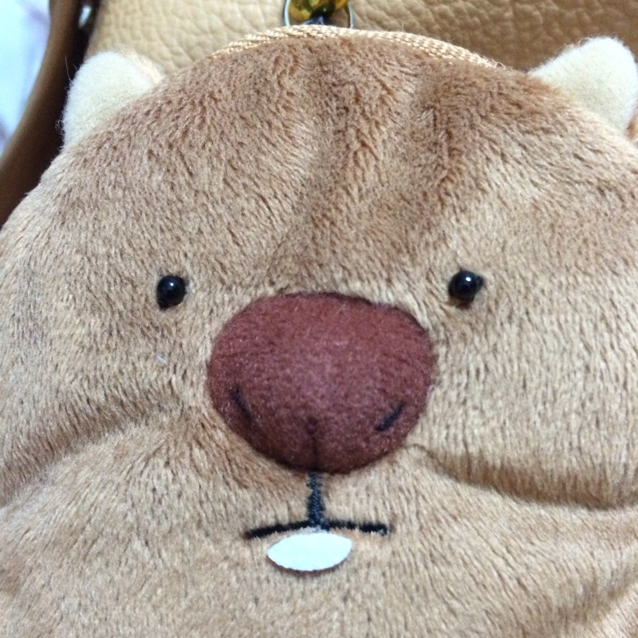 馬主にはなれないけど、モル主にはなれました🙌芦毛の優男モールドシップ♂（モルシ）🐭と金色の暴食モルフェーヴル♀（モルフェ）🐹を飼育してるファームです。従業員１名の為、調教師厩務員兼オーナーです。普段はモル、日曜は競馬🏇のつぶやきになります。 無言フォローすみません💦