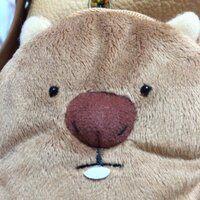 雪だるま (@ushiderera) 's Twitter Profile Photo