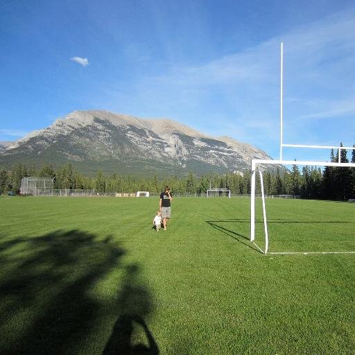 Sport_Investor's profile picture. Sports, not Wall Street.