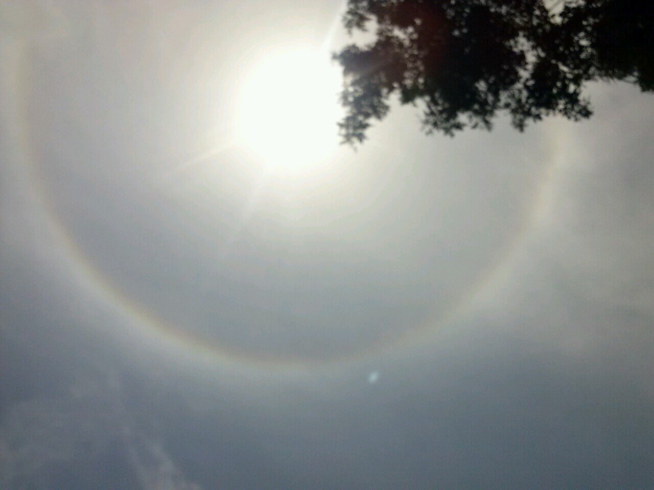 kelly_g22's profile picture. 