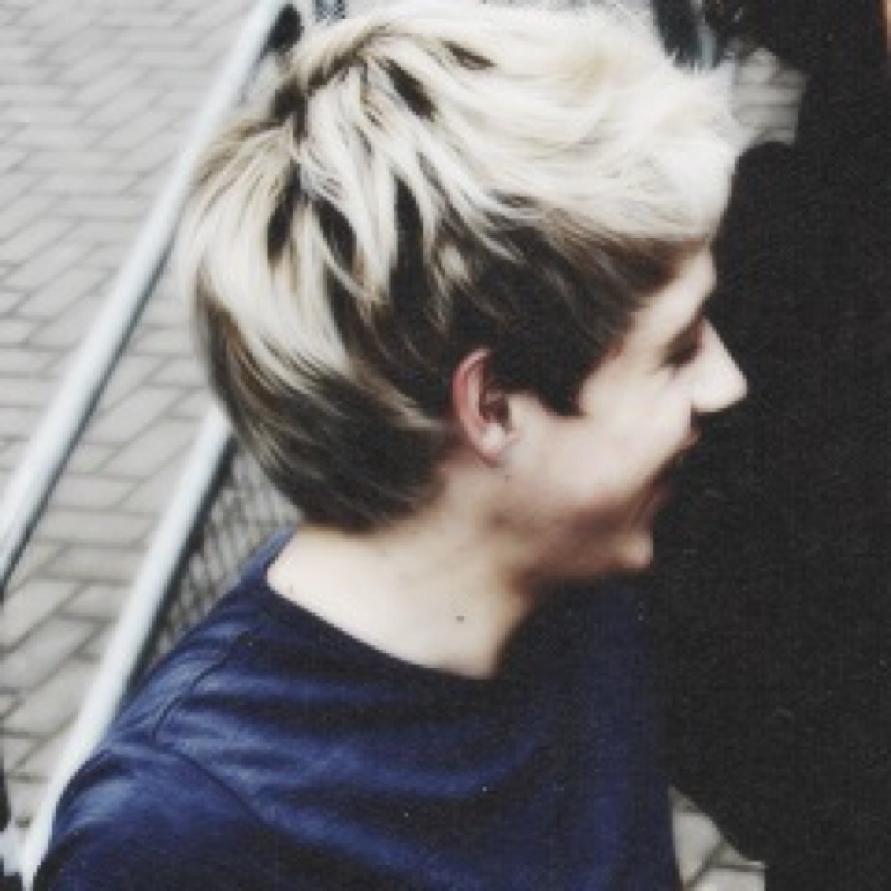 niall james horan