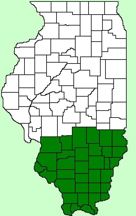 All the gossip, confessions,probs, and anything Southern Illinois.
DM or send yours to http://t.co/j7tIFEGSOh