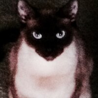 Tug Jones (@tuggers56) 's Twitter Profile