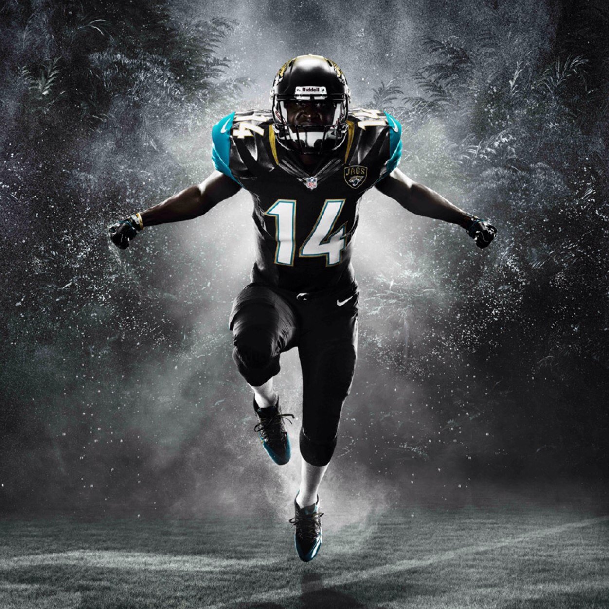 MutJags's profile picture. Huge Jags fan! New to this whole twitter thing. Blaine Gabbert is a bum and I miss Fred Taylor