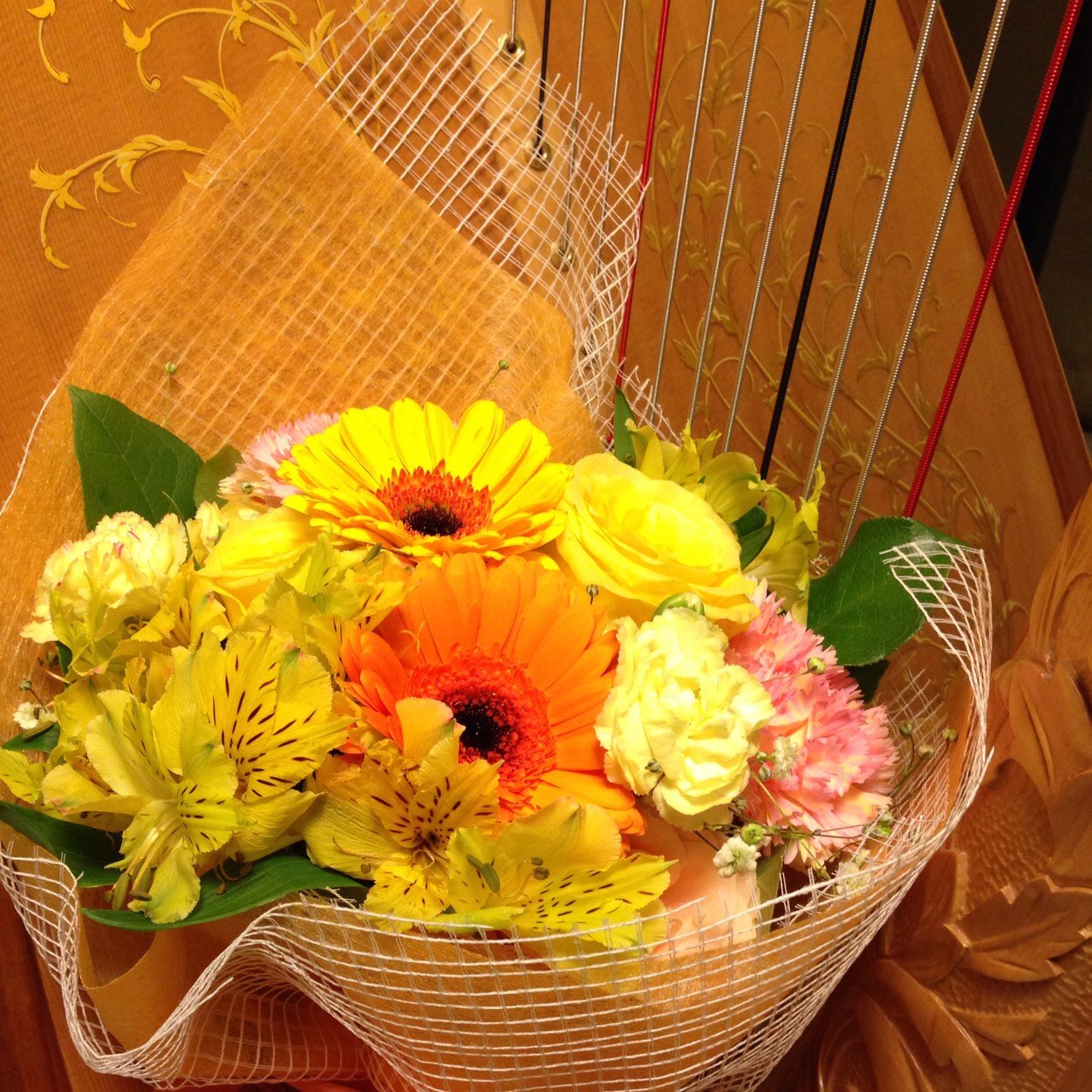 harp165's profile picture. 3台ハープアンサンブル Café de la Harp（カフェ・ドゥ・ラ・ハープ）リーダー